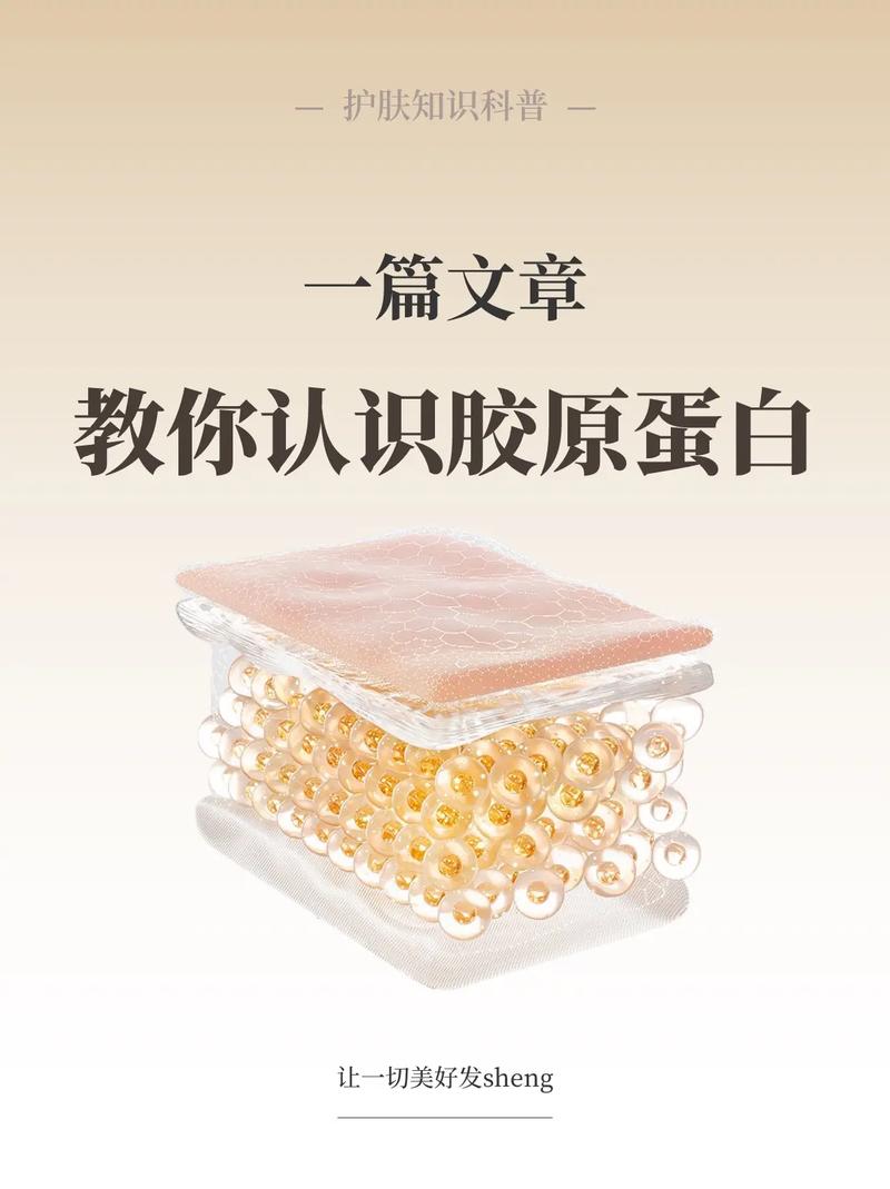 一篇文章教你认识什么是胶原蛋白