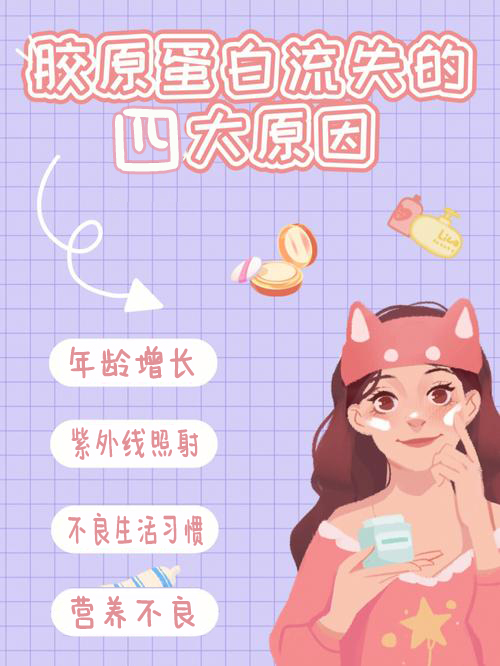 胶原蛋白流失的4大原因
