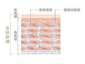 如何正确保护角质层