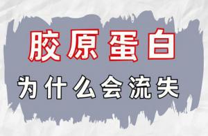 胶原蛋白是什么及作用、流失的原因和危害