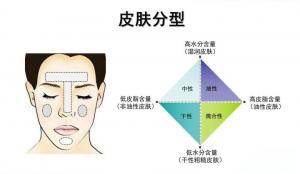 深入了解皮肤类型与痘痘关系：为何了解自己的皮肤类型至关重要